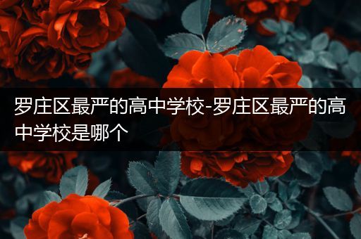 罗庄区最严的高中学校-罗庄区最严的高中学校是哪个