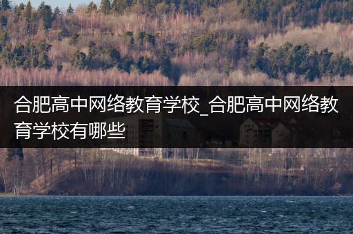 合肥高中网络教育学校_合肥高中网络教育学校有哪些