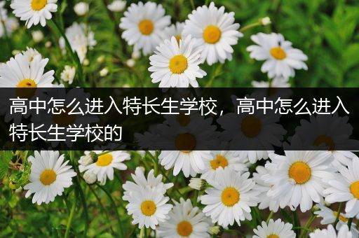 高中怎么进入特长生学校，高中怎么进入特长生学校的