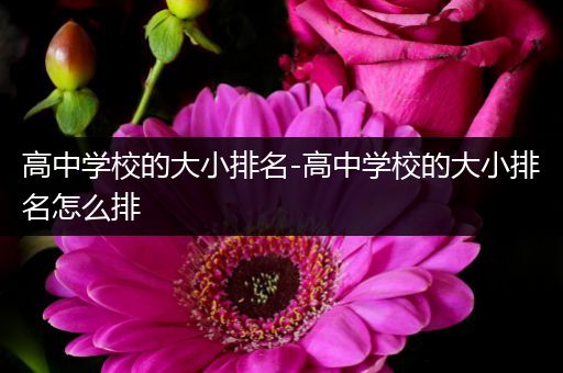 高中学校的大小排名-高中学校的大小排名怎么排