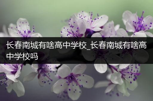 长春南城有啥高中学校_长春南城有啥高中学校吗