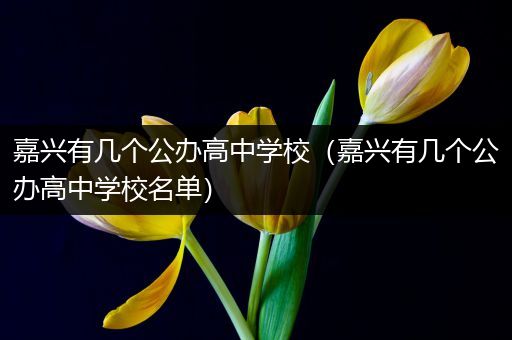 嘉兴有几个公办高中学校（嘉兴有几个公办高中学校名单）