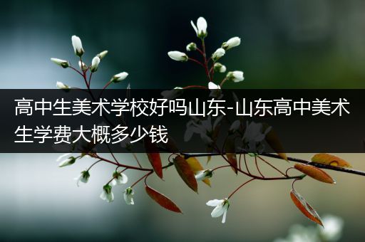 高中生美术学校好吗山东-山东高中美术生学费大概多少钱