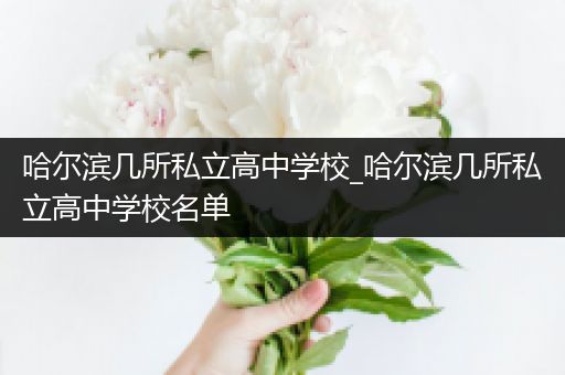 哈尔滨几所私立高中学校_哈尔滨几所私立高中学校名单