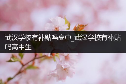 武汉学校有补贴吗高中_武汉学校有补贴吗高中生