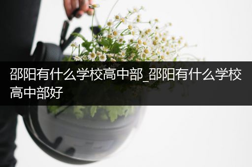 邵阳有什么学校高中部_邵阳有什么学校高中部好