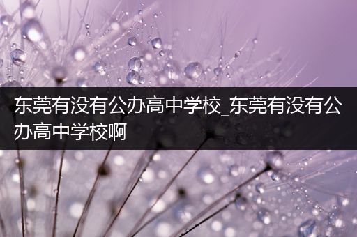 东莞有没有公办高中学校_东莞有没有公办高中学校啊