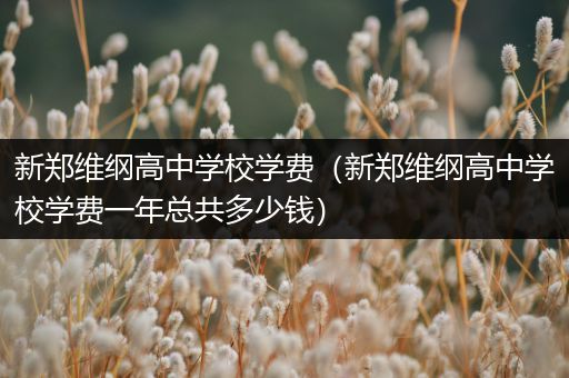 新郑维纲高中学校学费（新郑维纲高中学校学费一年总共多少钱）