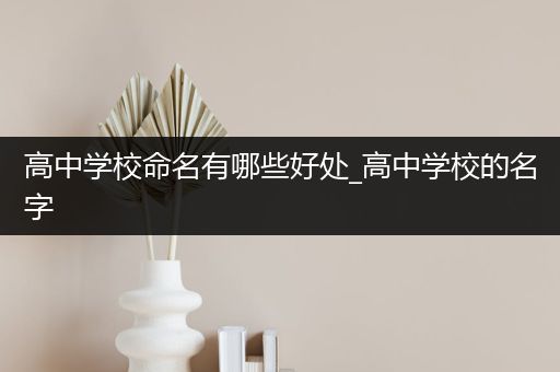 高中学校命名有哪些好处_高中学校的名字