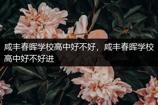 咸丰春晖学校高中好不好，咸丰春晖学校高中好不好进