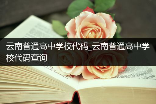 云南普通高中学校代码_云南普通高中学校代码查询