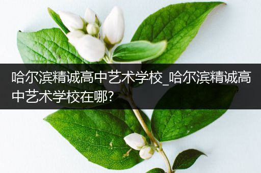 哈尔滨精诚高中艺术学校_哈尔滨精诚高中艺术学校在哪?