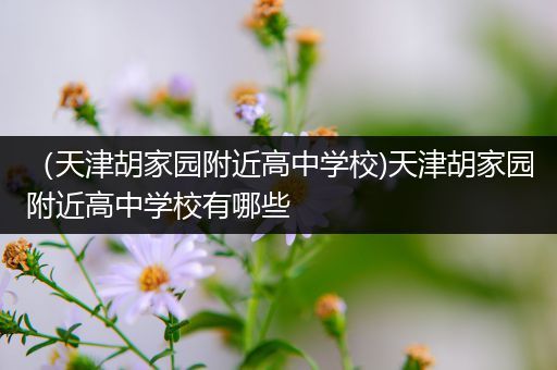 （天津胡家园附近高中学校)天津胡家园附近高中学校有哪些