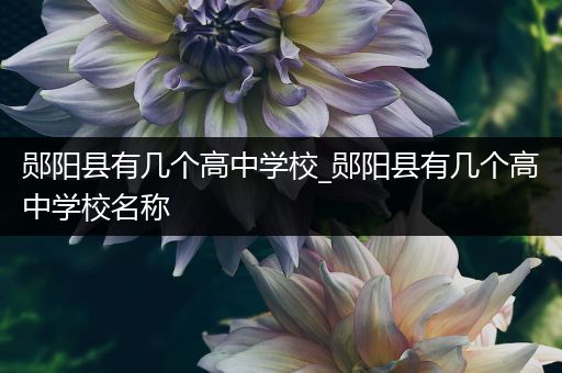 郧阳县有几个高中学校_郧阳县有几个高中学校名称