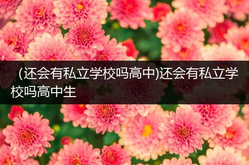 （还会有私立学校吗高中)还会有私立学校吗高中生