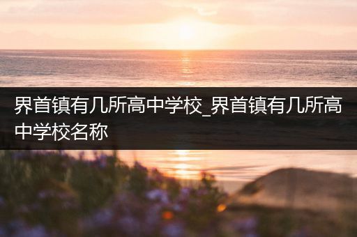 界首镇有几所高中学校_界首镇有几所高中学校名称