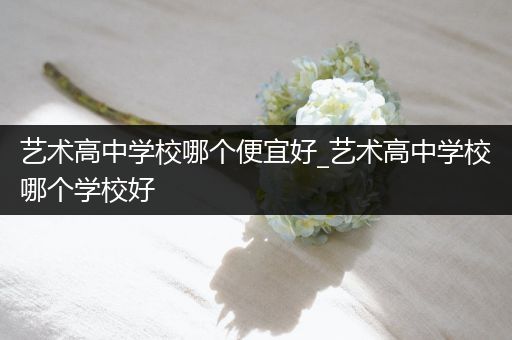 艺术高中学校哪个便宜好_艺术高中学校哪个学校好