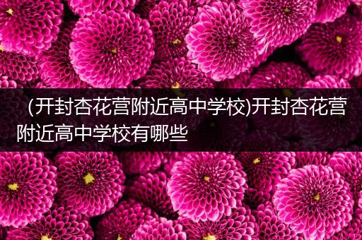 （开封杏花营附近高中学校)开封杏花营附近高中学校有哪些