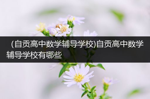 （自贡高中数学辅导学校)自贡高中数学辅导学校有哪些