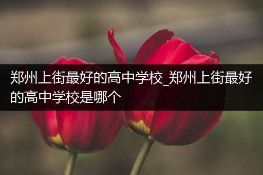 郑州上街最好的高中学校_郑州上街最好的高中学校是哪个