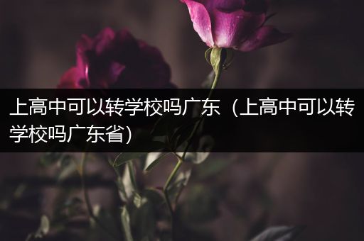 上高中可以转学校吗广东（上高中可以转学校吗广东省）