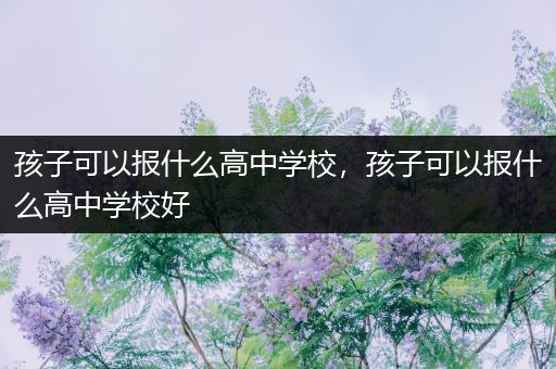 孩子可以报什么高中学校，孩子可以报什么高中学校好