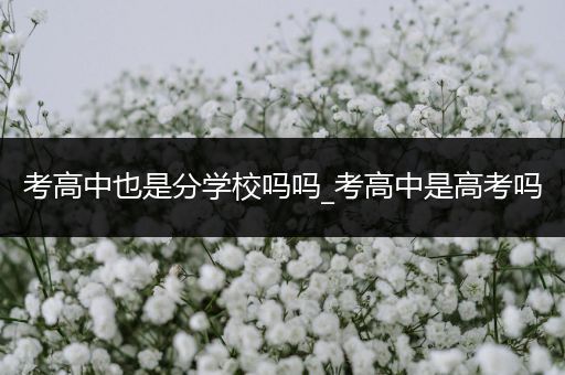 考高中也是分学校吗吗_考高中是高考吗