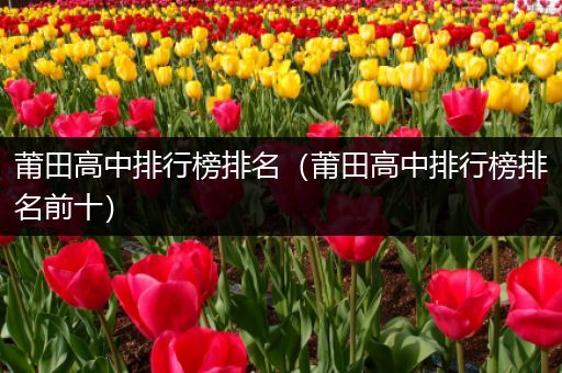 莆田高中排行榜排名（莆田高中排行榜排名前十）