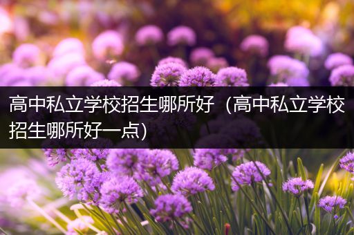 高中私立学校招生哪所好（高中私立学校招生哪所好一点）