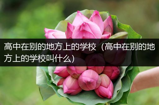 高中在别的地方上的学校（高中在别的地方上的学校叫什么）