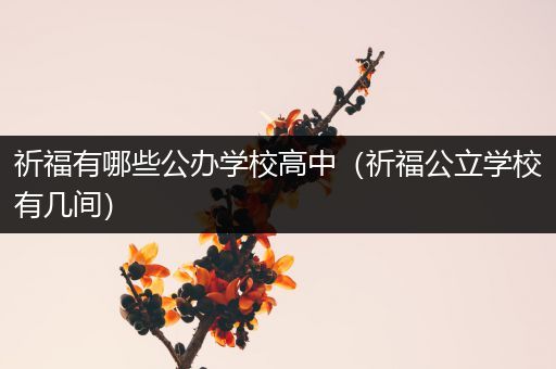 祈福有哪些公办学校高中（祈福公立学校有几间）