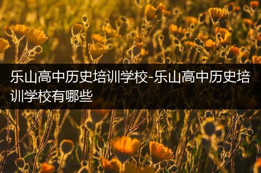 乐山高中历史培训学校-乐山高中历史培训学校有哪些