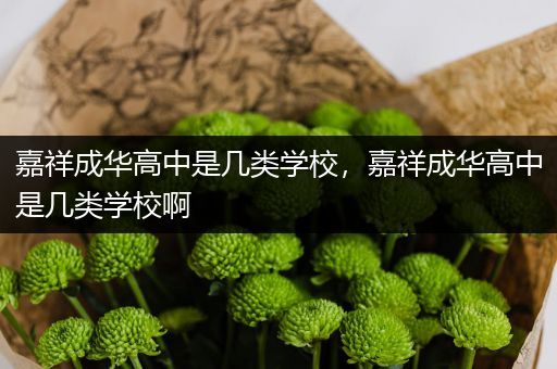 嘉祥成华高中是几类学校，嘉祥成华高中是几类学校啊