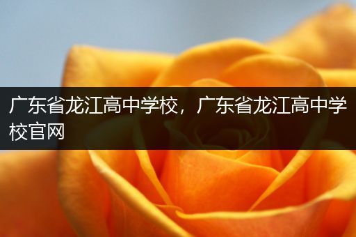 广东省龙江高中学校，广东省龙江高中学校官网