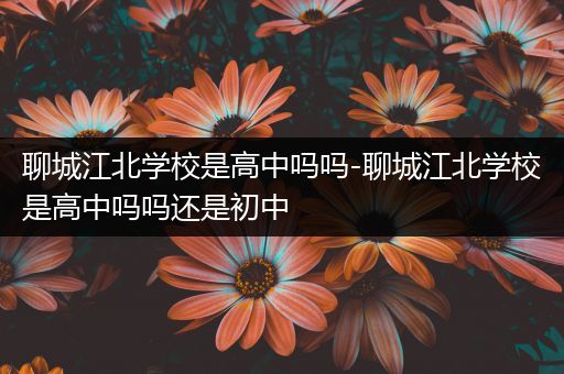 聊城江北学校是高中吗吗-聊城江北学校是高中吗吗还是初中