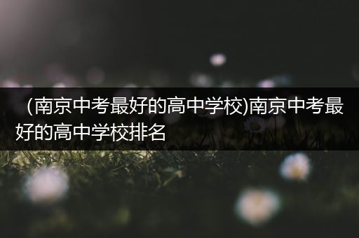 （南京中考最好的高中学校)南京中考最好的高中学校排名