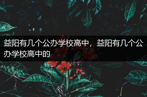 益阳有几个公办学校高中，益阳有几个公办学校高中的