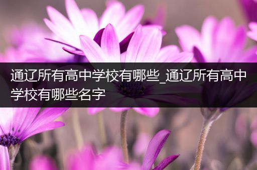 通辽所有高中学校有哪些_通辽所有高中学校有哪些名字