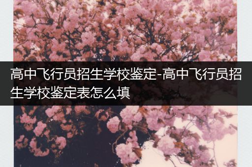 高中飞行员招生学校鉴定-高中飞行员招生学校鉴定表怎么填