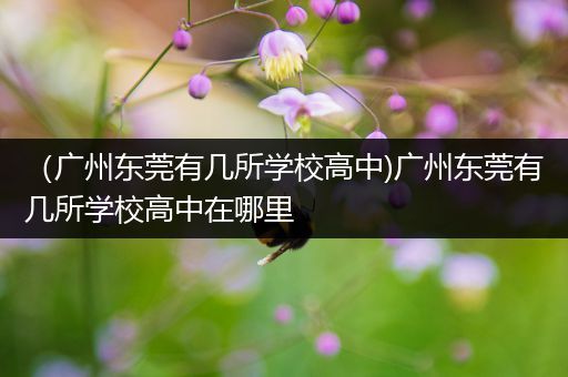 （广州东莞有几所学校高中)广州东莞有几所学校高中在哪里