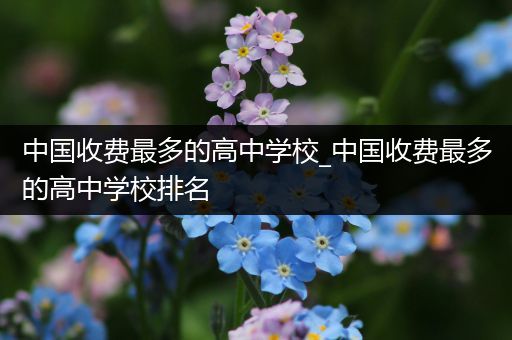 中国收费最多的高中学校_中国收费最多的高中学校排名