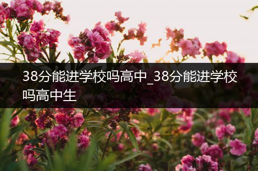 38分能进学校吗高中_38分能进学校吗高中生