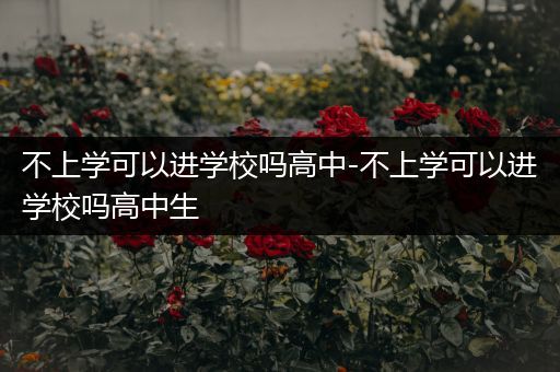 不上学可以进学校吗高中-不上学可以进学校吗高中生