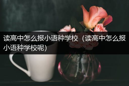 读高中怎么报小语种学校（读高中怎么报小语种学校呢）