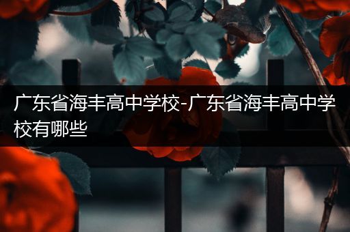 广东省海丰高中学校-广东省海丰高中学校有哪些