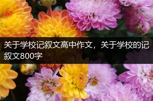 关于学校记叙文高中作文，关于学校的记叙文800字