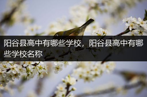 阳谷县高中有哪些学校，阳谷县高中有哪些学校名称