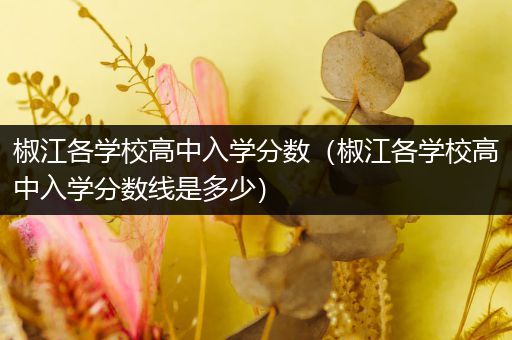 椒江各学校高中入学分数（椒江各学校高中入学分数线是多少）