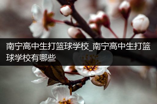 南宁高中生打篮球学校_南宁高中生打篮球学校有哪些
