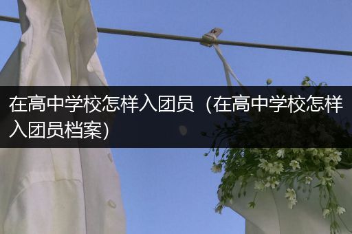 在高中学校怎样入团员（在高中学校怎样入团员档案）